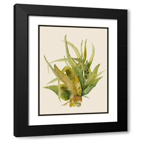 Aloe Vera I Black Modern Wood Framed Art Print with Double Matting by Woods, Maya