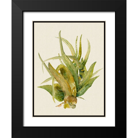Aloe Vera I Black Modern Wood Framed Art Print with Double Matting by Woods, Maya