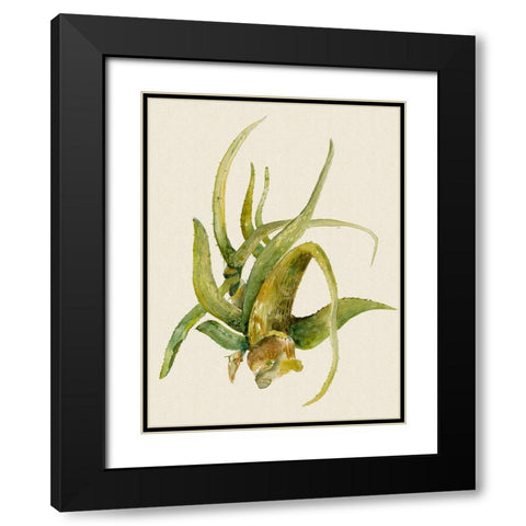 Aloe Vera II Black Modern Wood Framed Art Print with Double Matting by Woods, Maya