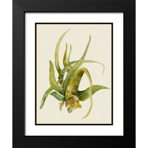 Aloe Vera II Black Modern Wood Framed Art Print with Double Matting by Woods, Maya