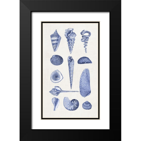 Blue Shells I Black Modern Wood Framed Art Print with Double Matting by Haase, Andrea