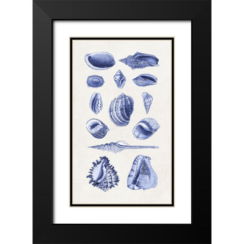 Blue Shells II Black Modern Wood Framed Art Print with Double Matting by Haase, Andrea