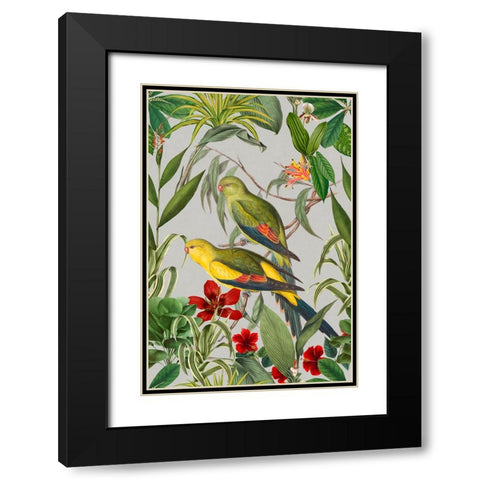Parakeets Tropical Garden  II Black Modern Wood Framed Art Print with Double Matting by Haase, Andrea