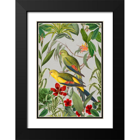 Parakeets Tropical Garden  II Black Modern Wood Framed Art Print with Double Matting by Haase, Andrea