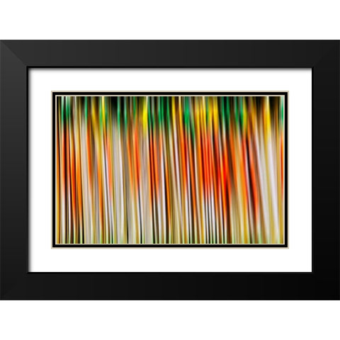 Undulate I Black Modern Wood Framed Art Print with Double Matting by Nall, Skip