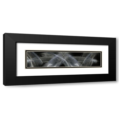 Feathers Black Modern Wood Framed Art Print with Double Matting by Stelfox, Norm
