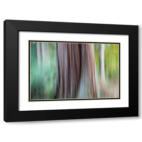 So Keen I Black Modern Wood Framed Art Print with Double Matting by Stelfox, Norm