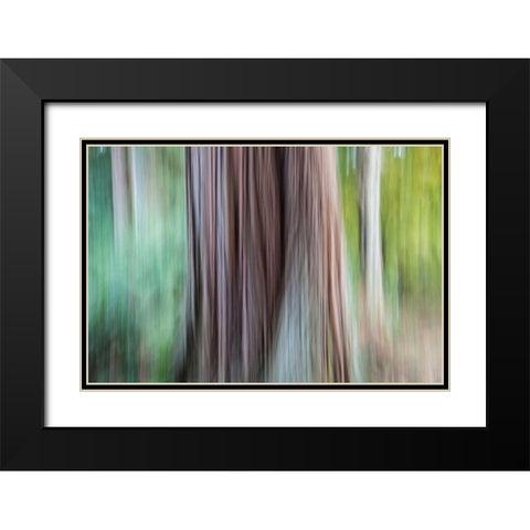 So Keen I Black Modern Wood Framed Art Print with Double Matting by Stelfox, Norm
