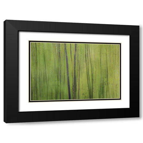 Green I Black Modern Wood Framed Art Print with Double Matting by Stelfox, Norm