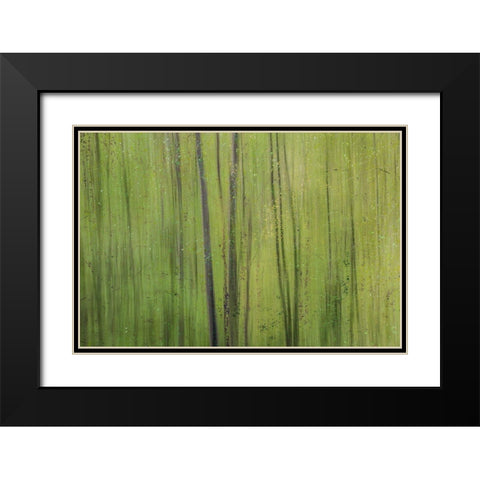 Green I Black Modern Wood Framed Art Print with Double Matting by Stelfox, Norm