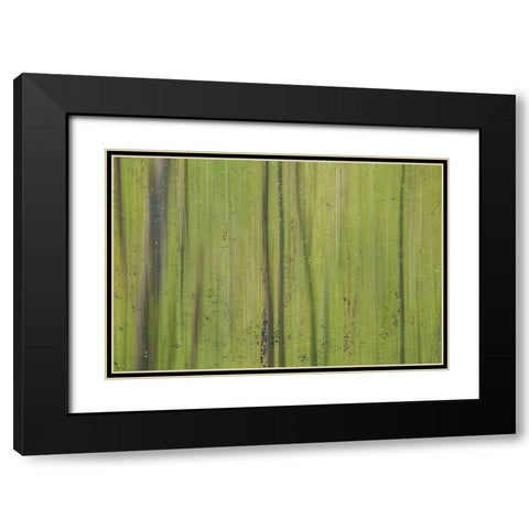 Green III Black Modern Wood Framed Art Print with Double Matting by Stelfox, Norm
