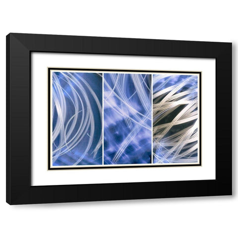 Flourish Black Modern Wood Framed Art Print with Double Matting by Stelfox, Norm