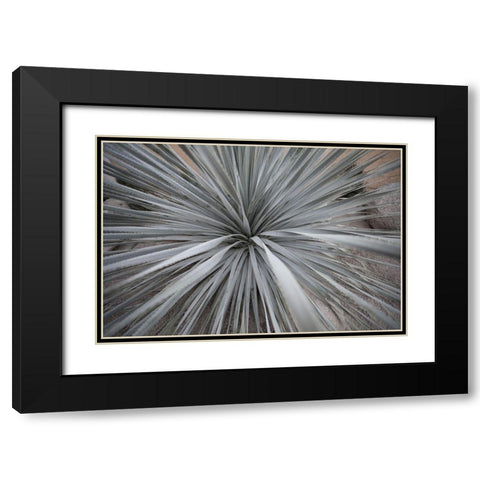 Sharp Rays Black Modern Wood Framed Art Print with Double Matting by Stelfox, Norm