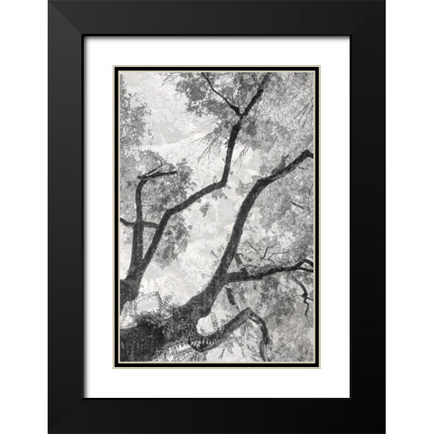Gloomy Branches Black Modern Wood Framed Art Print with Double Matting by Stelfox, Norm