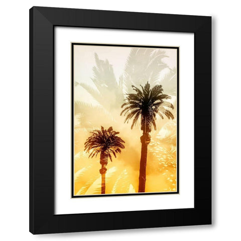 Palm Dreams  Black Modern Wood Framed Art Print with Double Matting by Stelfox, Norm