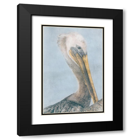 Long Beak Bird I Black Modern Wood Framed Art Print with Double Matting by Stelfox, Norm