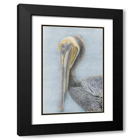 Long Beak Bird II Black Modern Wood Framed Art Print with Double Matting by Stelfox, Norm