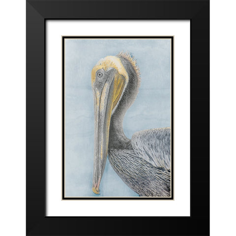 Long Beak Bird II Black Modern Wood Framed Art Print with Double Matting by Stelfox, Norm