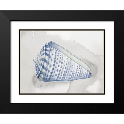 Soft Blue Shell II Black Modern Wood Framed Art Print with Double Matting by Jones, Eli