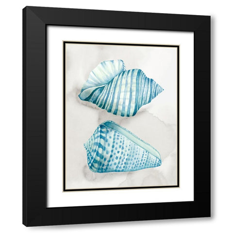 Two Soft Blue Shells Black Modern Wood Framed Art Print with Double Matting by Jones, Eli