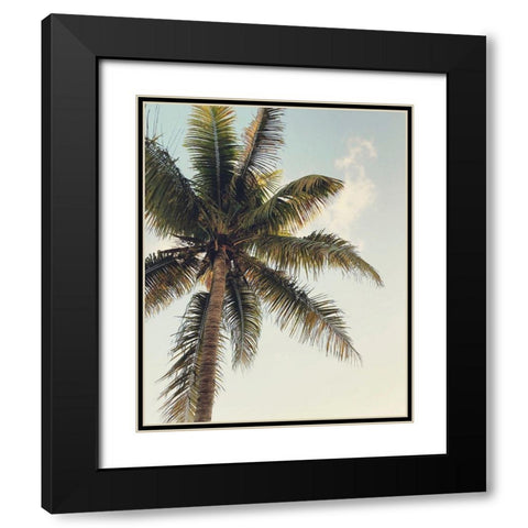 Coconut Palm  Black Modern Wood Framed Art Print with Double Matting by Joy, Olivia
