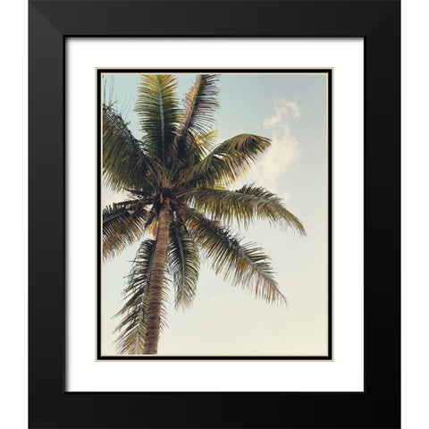 Coconut Palm  Black Modern Wood Framed Art Print with Double Matting by Joy, Olivia