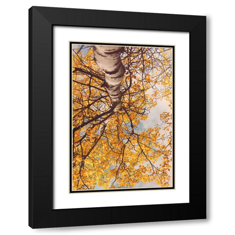 Fall Coloured Leaves  Black Modern Wood Framed Art Print with Double Matting by Joy, Olivia