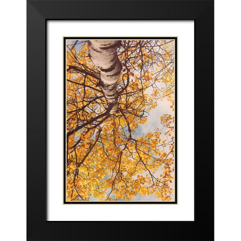 Fall Coloured Leaves  Black Modern Wood Framed Art Print with Double Matting by Joy, Olivia