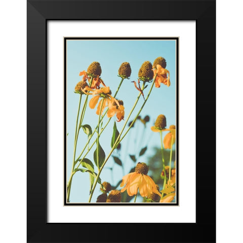 Reaching Sunlight  Black Modern Wood Framed Art Print with Double Matting by Joy, Olivia