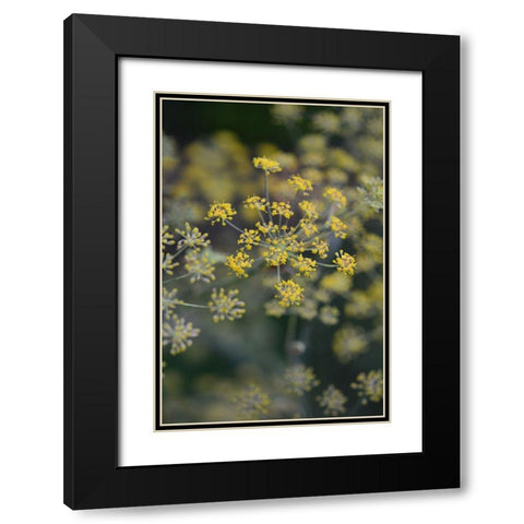 Little Yellow Black Modern Wood Framed Art Print with Double Matting by Joy, Olivia