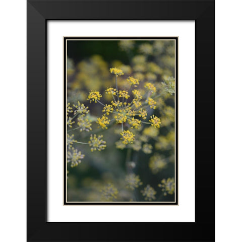 Little Yellow Black Modern Wood Framed Art Print with Double Matting by Joy, Olivia