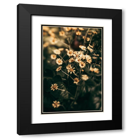 Little Garden Black Modern Wood Framed Art Print with Double Matting by Joy, Olivia