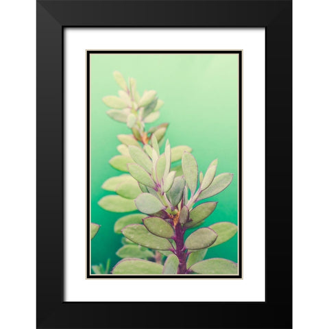 Green Blossom  Black Modern Wood Framed Art Print with Double Matting by Joy, Olivia