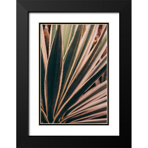 Beaming Through Black Modern Wood Framed Art Print with Double Matting by Joy, Olivia