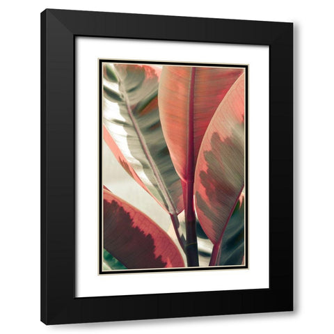 Peachy Black Modern Wood Framed Art Print with Double Matting by Joy, Olivia