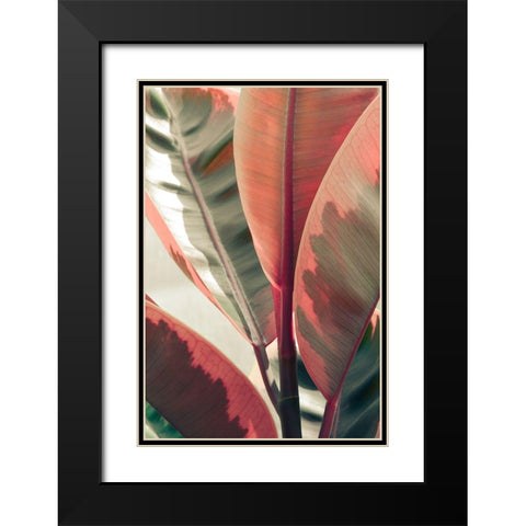 Peachy Black Modern Wood Framed Art Print with Double Matting by Joy, Olivia