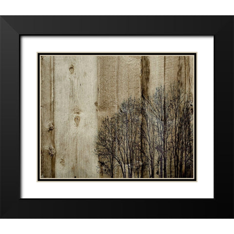 Three Barns Black Modern Wood Framed Art Print with Double Matting by Kirshner, Dmitry