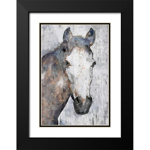 Horse Portrait I Black Modern Wood Framed Art Print with Double Matting by Orlov, Irena