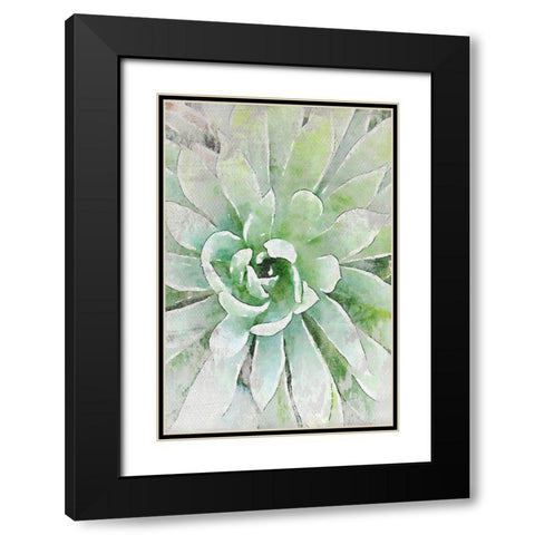 Rustic Succulent I  Black Modern Wood Framed Art Print with Double Matting by Orlov, Irena
