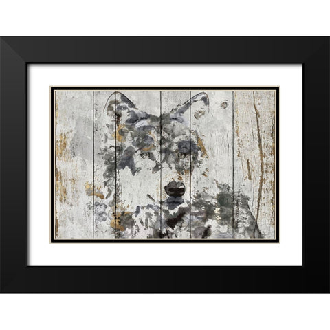 Wolf Gaze  Black Modern Wood Framed Art Print with Double Matting by Orlov, Irena