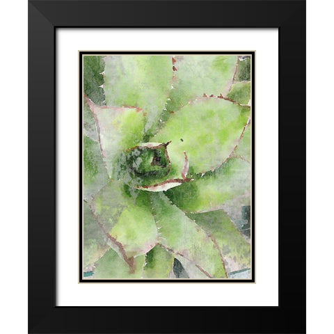 Rustic Green Succulent  Black Modern Wood Framed Art Print with Double Matting by Orlov, Irena