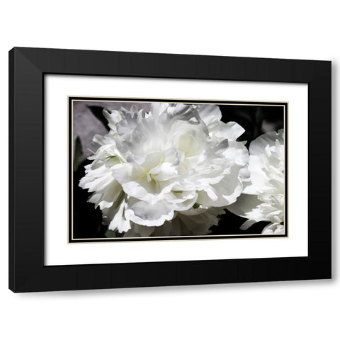 White Peony I  Black Modern Wood Framed Art Print with Double Matting by Orlov, Irena