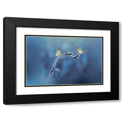 Priyadi-Two Butterflies Meet Each Other Black Modern Wood Framed Art Print with Double Matting by 1x