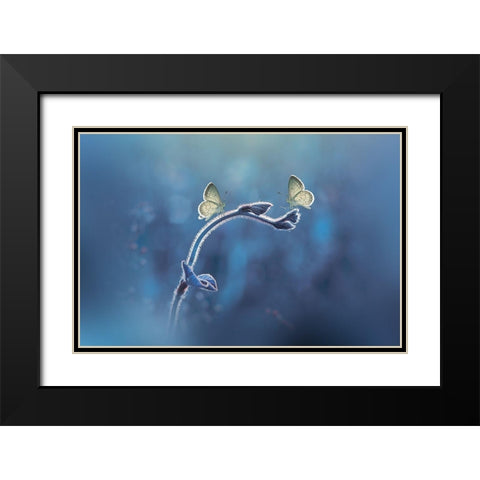 Priyadi-Two Butterflies Meet Each Other Black Modern Wood Framed Art Print with Double Matting by 1x