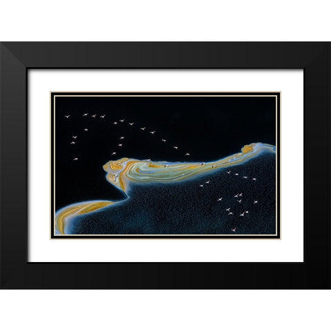 Dancer  in the Sky Black Modern Wood Framed Art Print with Double Matting by Fischer