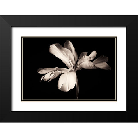Untitled Black Modern Wood Framed Art Print with Double Matting by Myles
