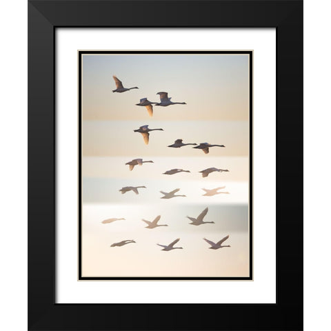Past The Sun Black Modern Wood Framed Art Print with Double Matting by Londal