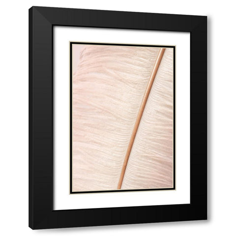 Feather Black Modern Wood Framed Art Print with Double Matting by Studio III
