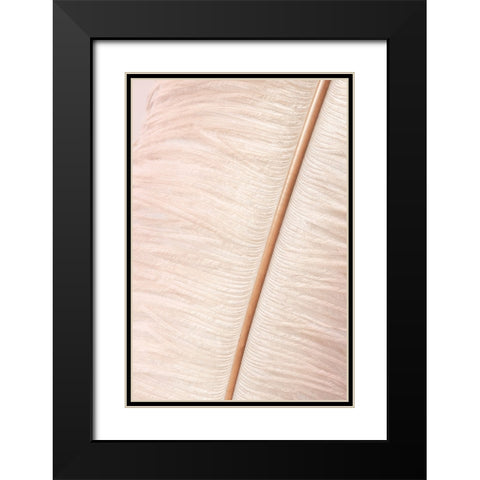 Feather Black Modern Wood Framed Art Print with Double Matting by Studio III
