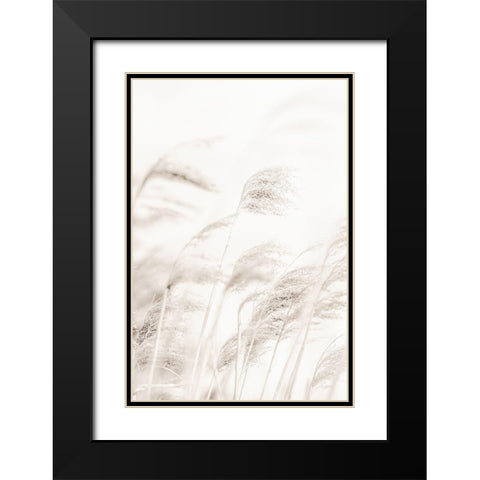 Reed Black Modern Wood Framed Art Print with Double Matting by Studio III
